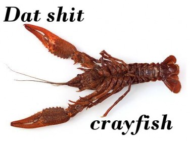 datshit